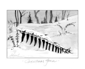 Christmas_fern.jpg thumbnail