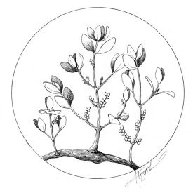 christmasgreenerypix.jpg thumbnail