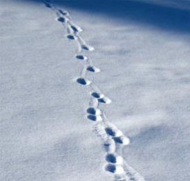 cover2.jpg thumbnail