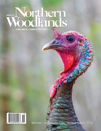 Photo by Jim Block Spring 2019 cover 