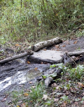 Damaged stream thumbnail