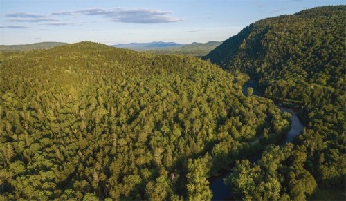 Dartmouth College grant