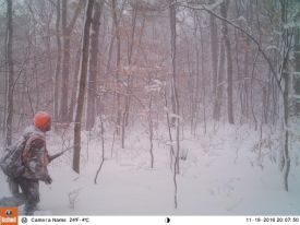 daveblog_djou_see_anything_web.jpg thumbnail