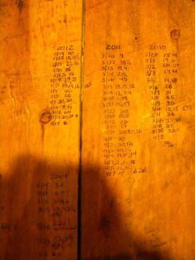 daves_bad_sugar_season800.jpg thumbnail