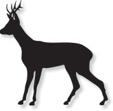 Deer_Icon.jpg