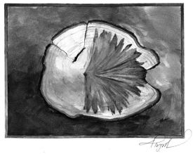 disease_web.jpg thumbnail