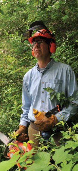 dpaganelli.jpg thumbnail