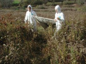 DSCN6558.JPG thumbnail