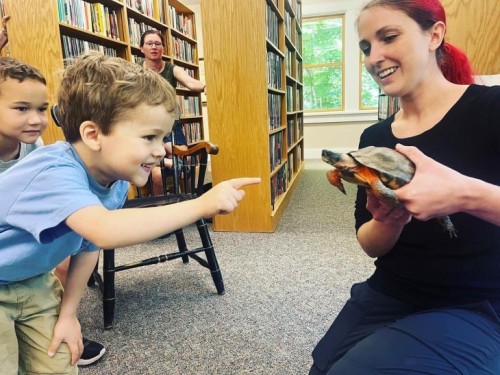 Educational wood turtle