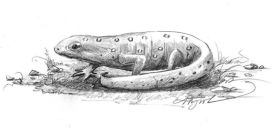 eft_web.jpg thumbnail