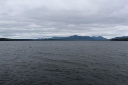 Island Logging Photo: Ross Caron