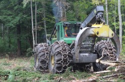 Island Logging Photo: Ross Caron
