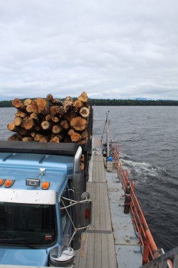 Island Logging Photo: Ross Caron