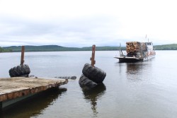 Island Logging Photo: Ross Caron