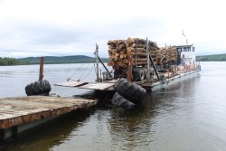 Island Logging Photo: Ross Caron