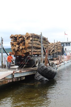 Island Logging Photo: Ross Caron