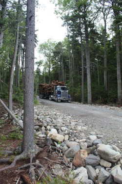 Island Logging Photo: Ross Caron