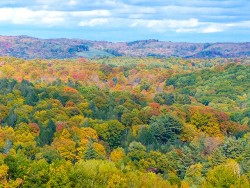 fall_foliage_smW.jpg