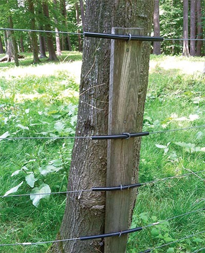 fence_post3.jpg