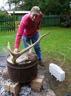 first_moose_pic.jpg thumbnail