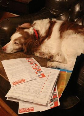 fly_winners2016.jpg thumbnail