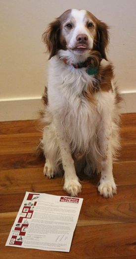 Fly_with_winner_w.jpg thumbnail