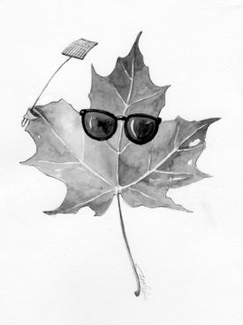 Foliage.jpg thumbnail