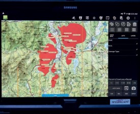 Forest damage graphic thumbnail