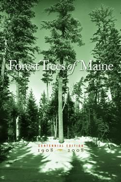 forest_trees_of_Maine.jpg thumbnail