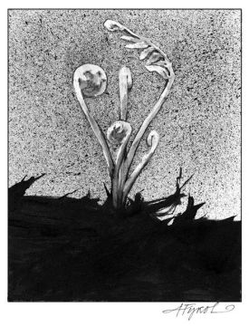 forestfirepix_popup_800.jpg thumbnail