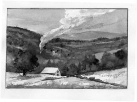 forestgrowingpix.jpg thumbnail