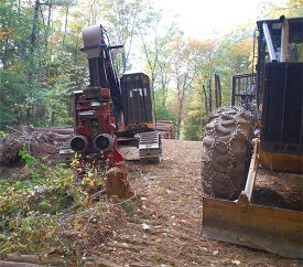 forestland_timeshare_1.jpg thumbnail