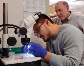 fungal_samples.jpg thumbnail