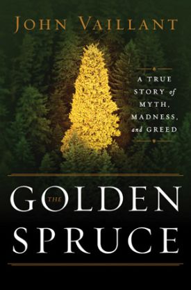 Golden_Spruce.jpg thumbnail