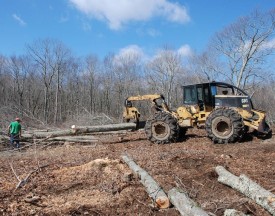 Grapple skidder thumbnail