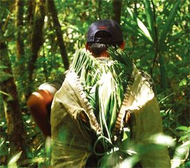 guatemala1.jpg thumbnail