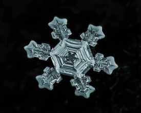 Snowflake thumbnail