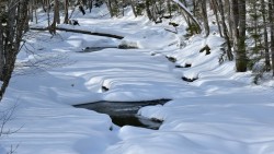 Snow shadows Photo: Ken Hatch