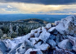 Rime ice Photo: Karinne Heise