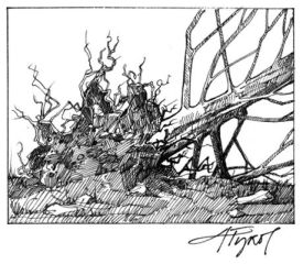 hurricanes_web2.jpg thumbnail