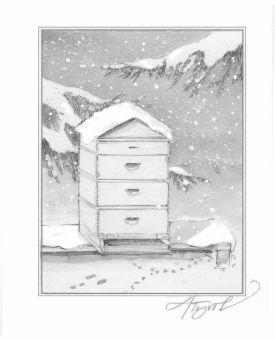 insects_in_winter800.jpg thumbnail