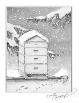 insects_in_winter.jpg thumbnail