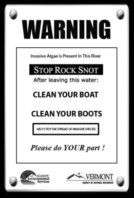 Invasives.JPG thumbnail