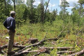 Irwin_Post_web.jpg thumbnail