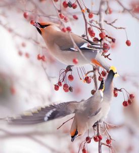 Jim_Block_Mast_Aut14_1.jpg thumbnail