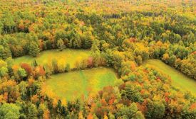 Jockey Hill thumbnail