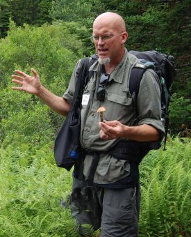 Mushroom walk thumbnail