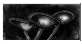 Jack o lantern mushrooms thumbnail