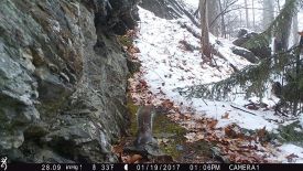 lead-pic-w.jpg thumbnail