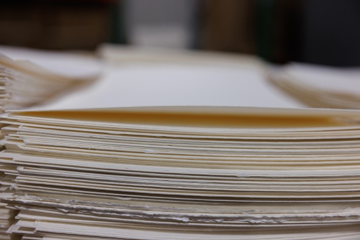 Paper pulp and fiber